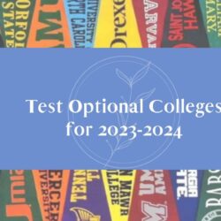 Best-Test-Optional-Colleges-Online-2024