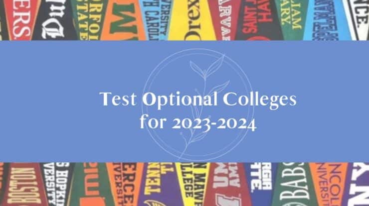 Best-Test-Optional-Colleges-Online-2024